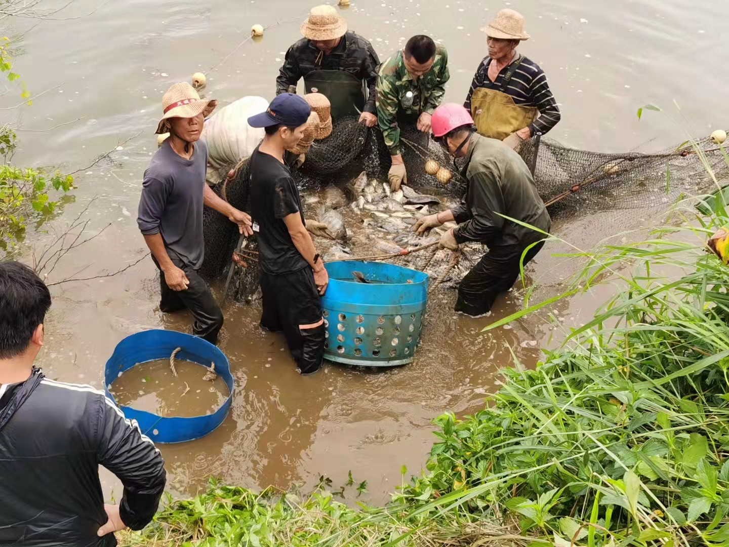 1651390862333681.jpg ok138电子官方网站