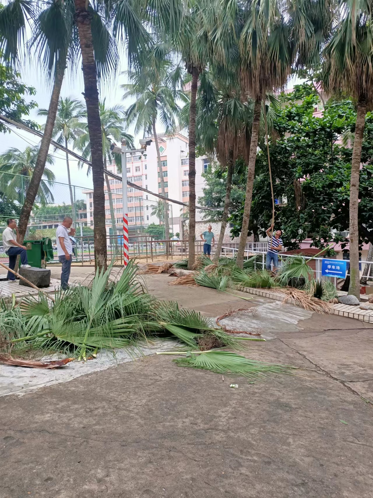 ok138电子官方网站