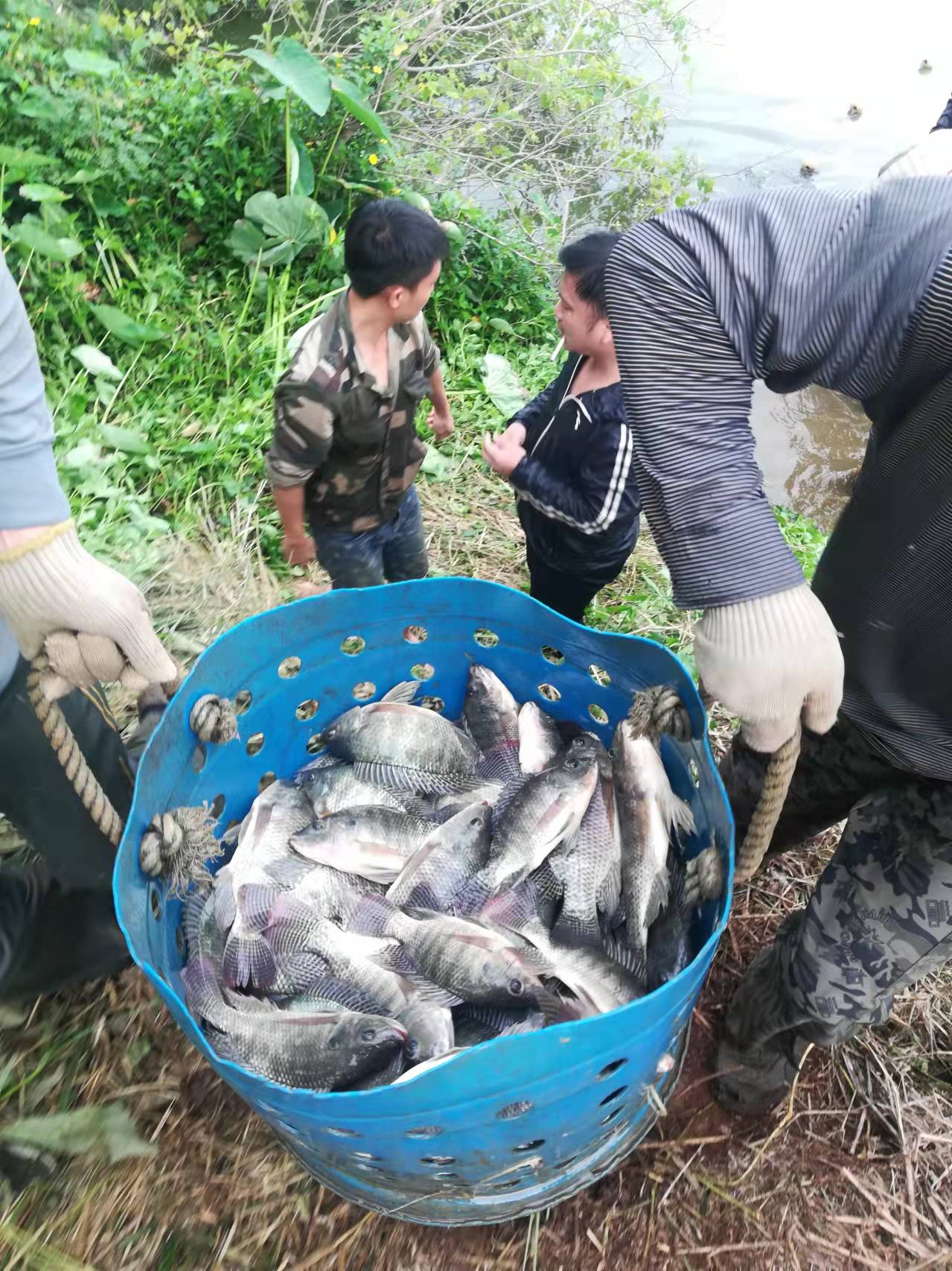 ok138电子官方网站