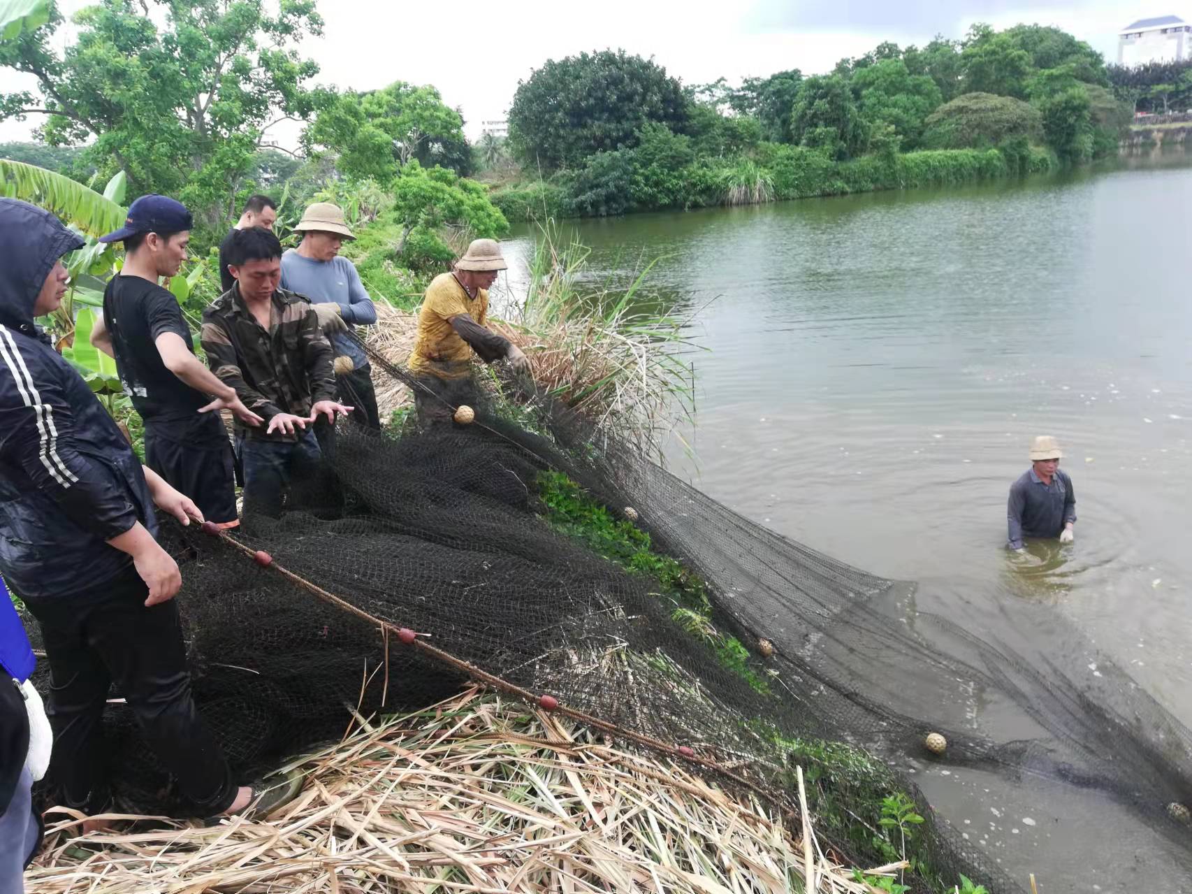 ok138电子官方网站